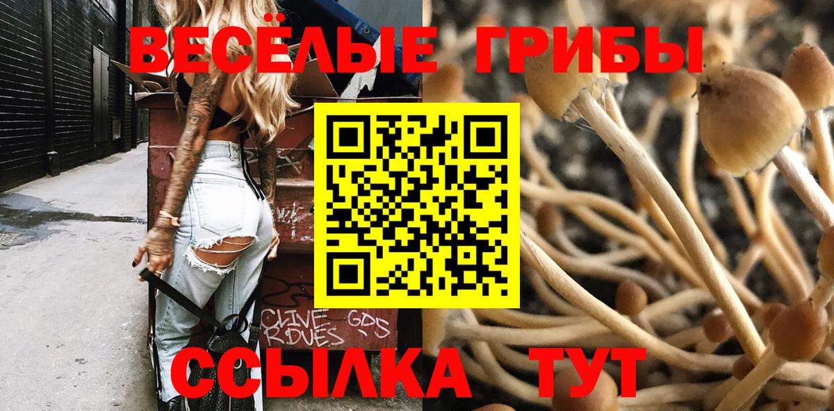 Галлюциногенные грибы Psilocybine cubensis  Вход с VPN  Псилоцибиновые грибы GOLDEN TEACHER  Нальчик 